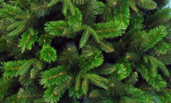 Елка "Сибирская"