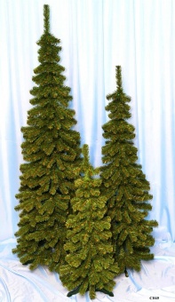 Ель Анна С045 (зауженная)