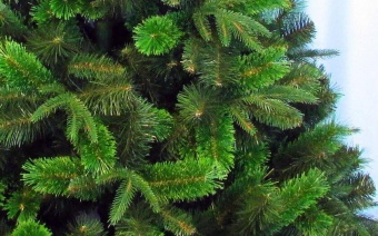 Елка "Сибирская"