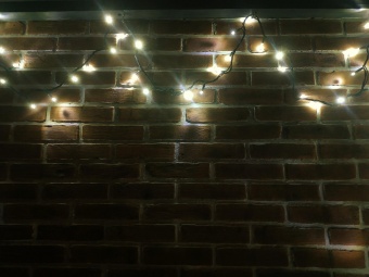 Светодиодная гирлянда «Стринг лайт» PL-LST-100LED-10 RG/GL 230V