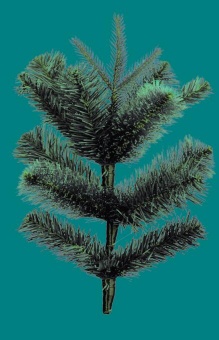 Елка "Сибирская"