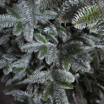 Ель литая "Канада" С047