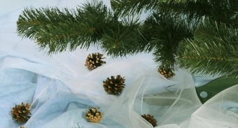 Ель пл. "Классическая" С006