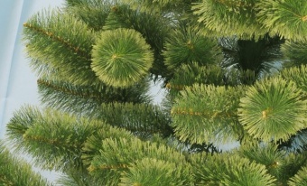 Сосна из лески "Пушистая" С003